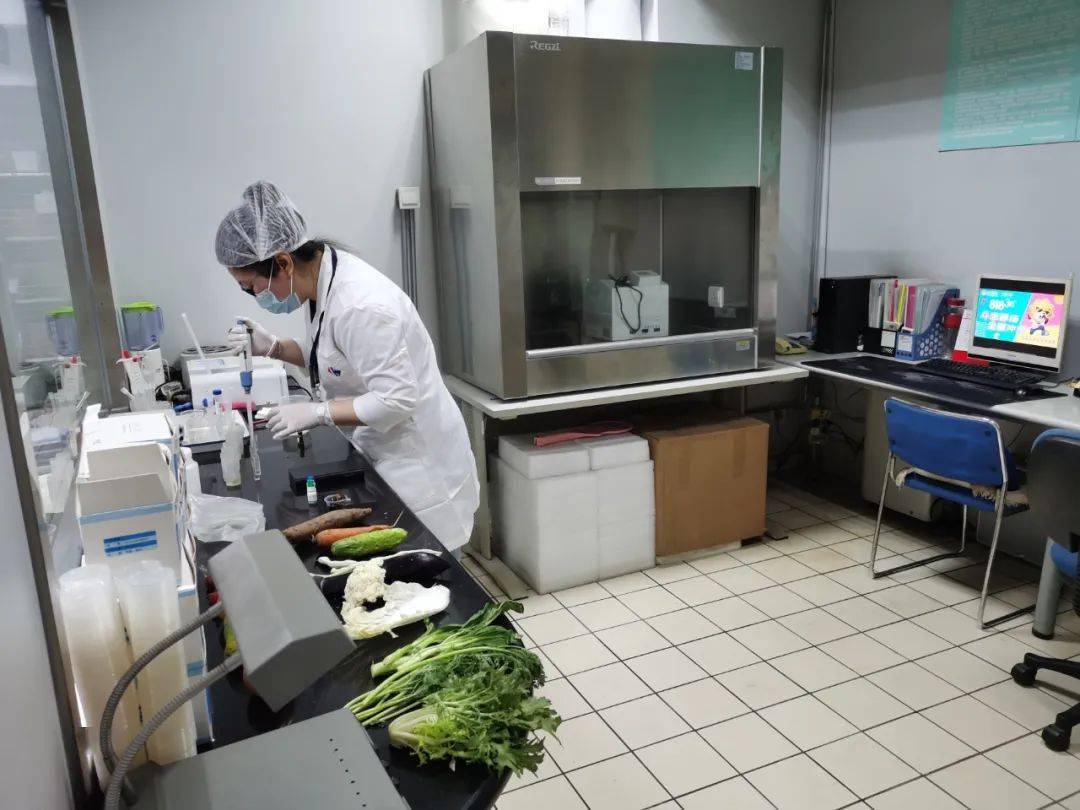 阜平食品检测实验室装修方案